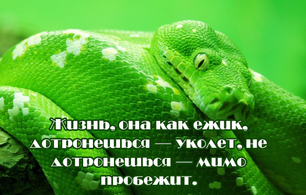   : ,   