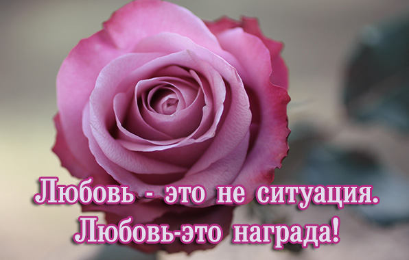   :  -  