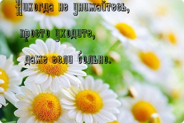   :   