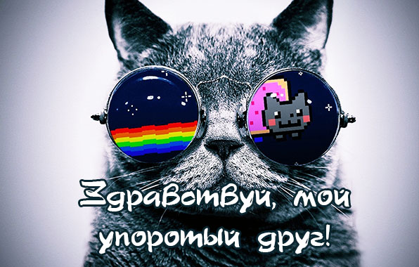   : 