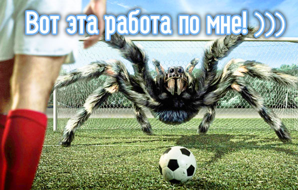     !.