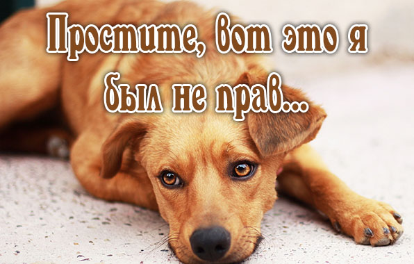   : ,      