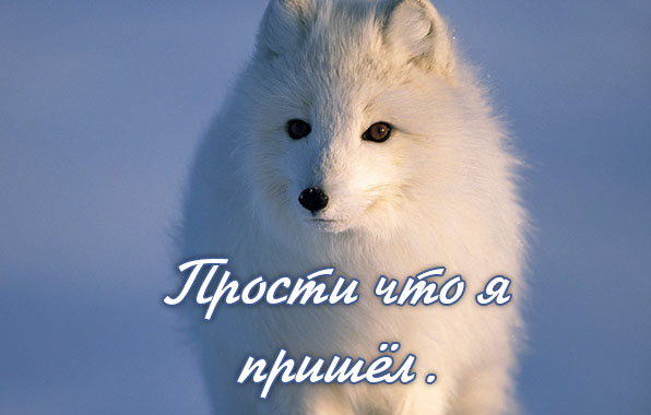   :    