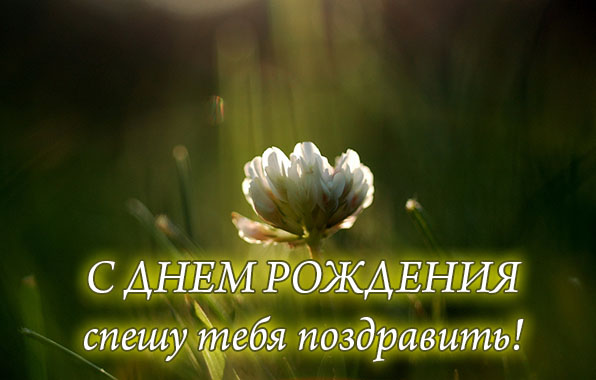      !.