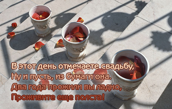   :     