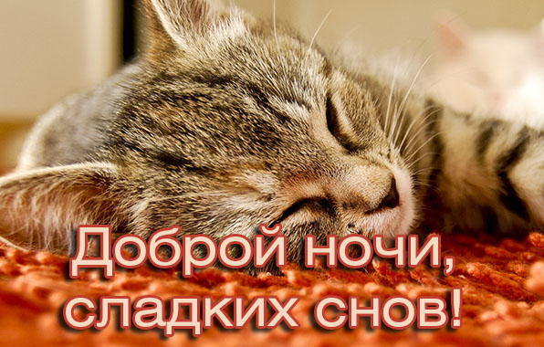   :  ,  