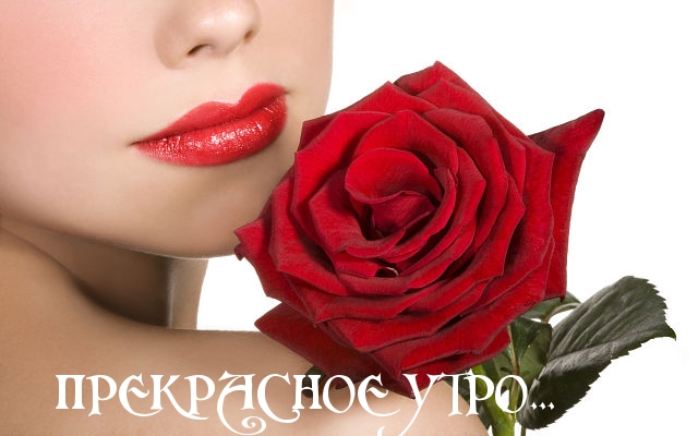ПРЕКРАСНОЕ УТРО.