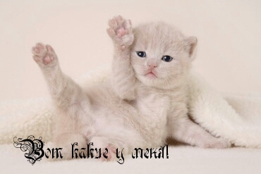  :    !