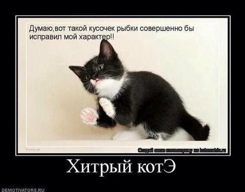 Картинки с надписями Хитрый котЭ