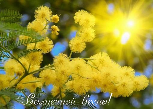 Солнечной весны!.