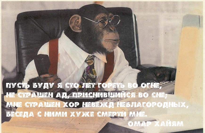   :   
