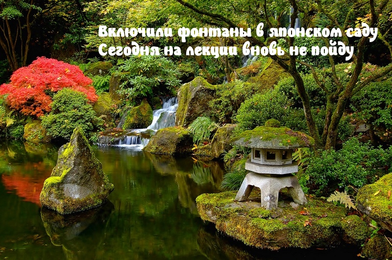 Сегодня на лекции вновь не пойду