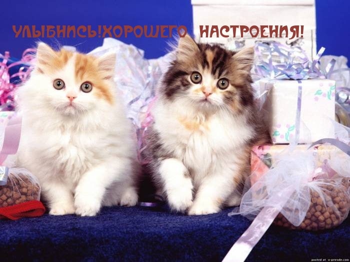 УЛЫБНИСЬ!.