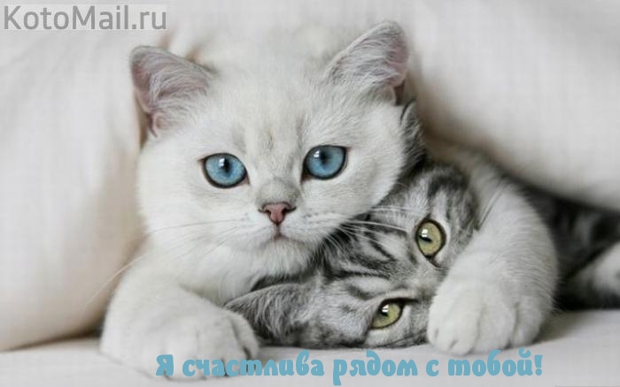   :     !