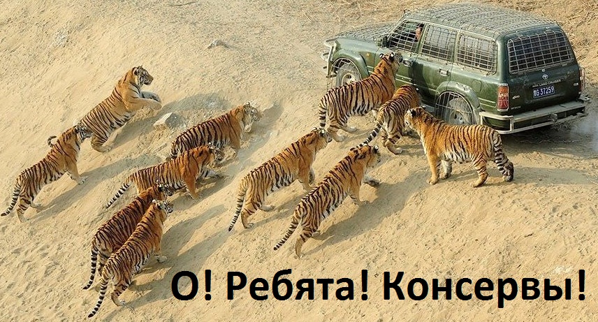 Картинки с надписями Ребята! Консервы!