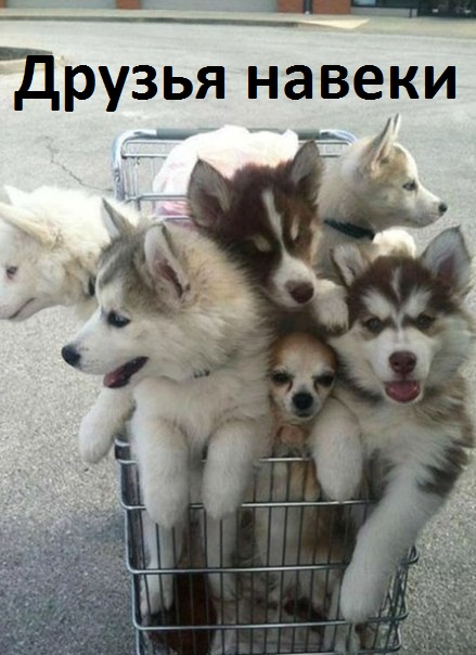   :  