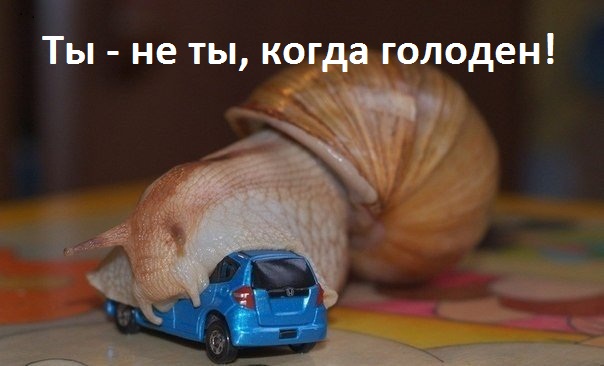 Картинки с надписями Ты - не ты, когда голоден!