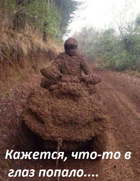 Картинки с надписями что-то в глаз попало...