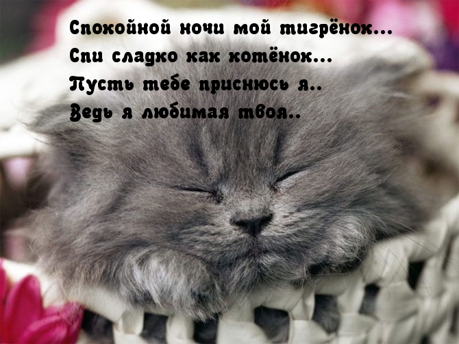   :  , ...