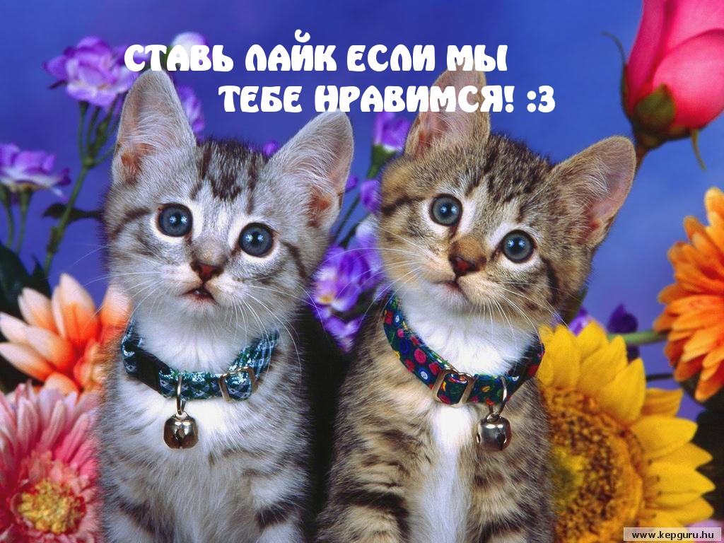   : ,  !