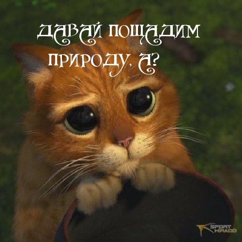   :      , ?