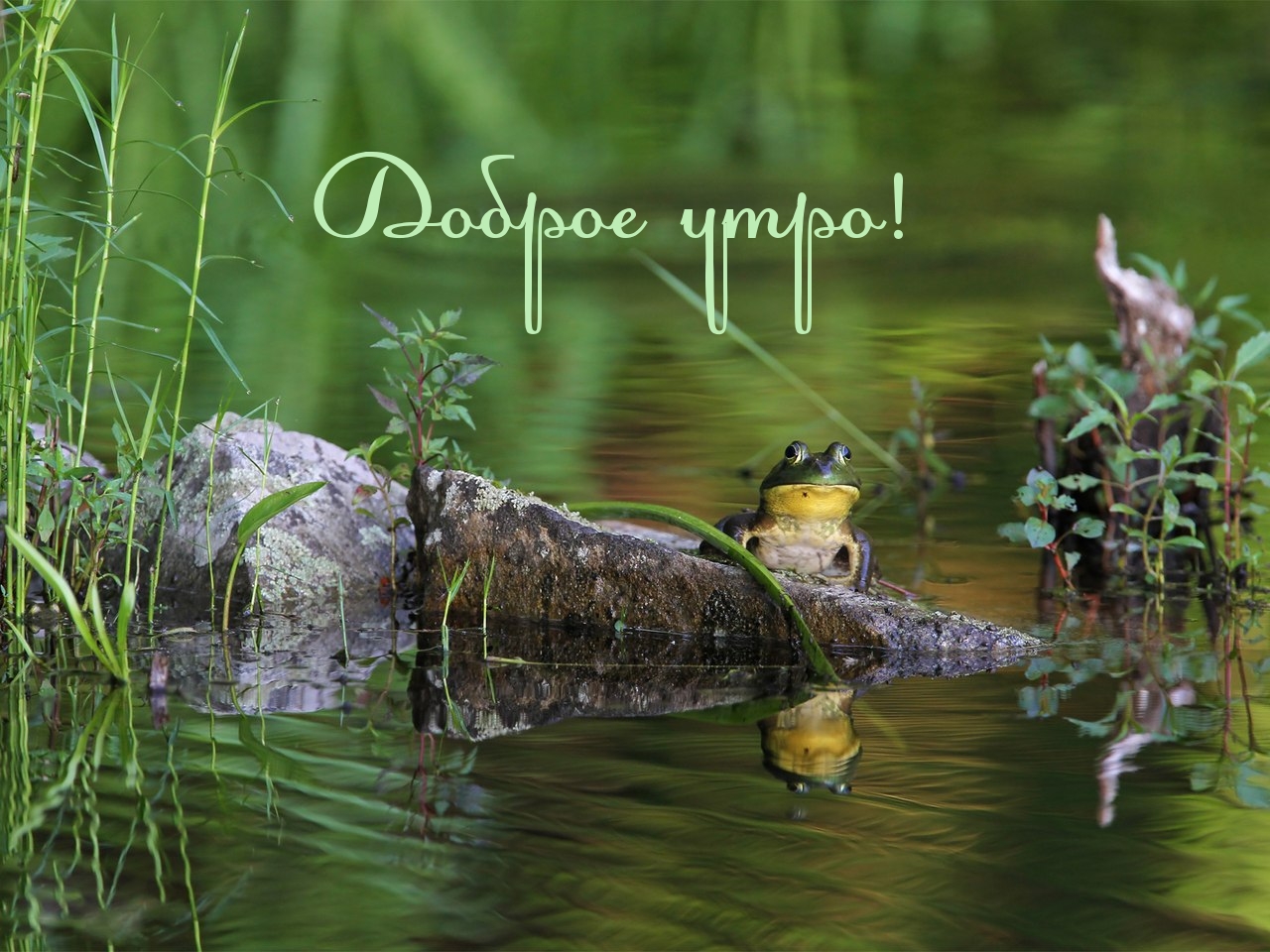 https://www.imagetext.ru/pics_max/images_5954.jpg