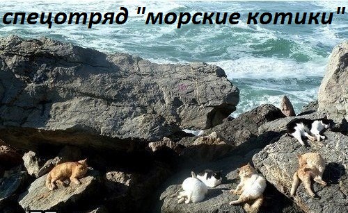 Картинки с надписями спецотряд &amp;quot;морские котики&amp;quot;