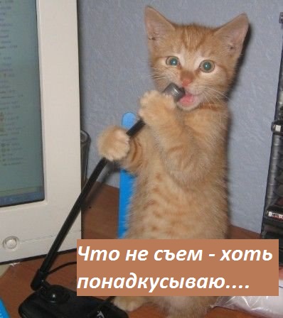 Картинки с надписями Что не съем - хоть понадкусываю!