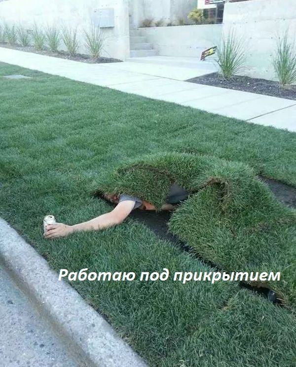 Картинки с надписями Работаю под прикрытием
