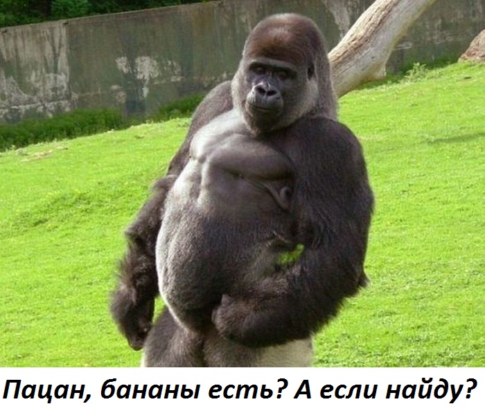 Картинки с надписями Пацан, бананы есть?