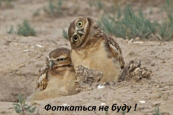 Картинки с надписями Не люблю фоткаться...