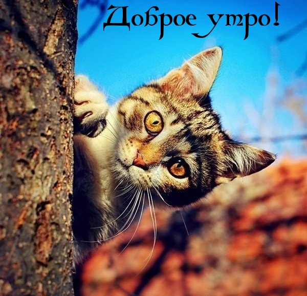  !.