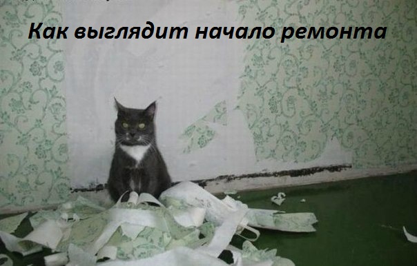 Картинки с надписями Как выглядит начало ремонта