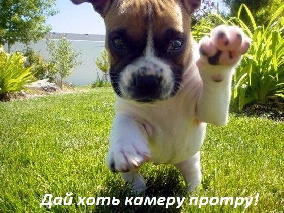 Картинки с надписями Дай хоть камеру протру