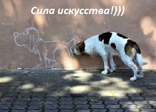Картинки с надписями Сила искусства !