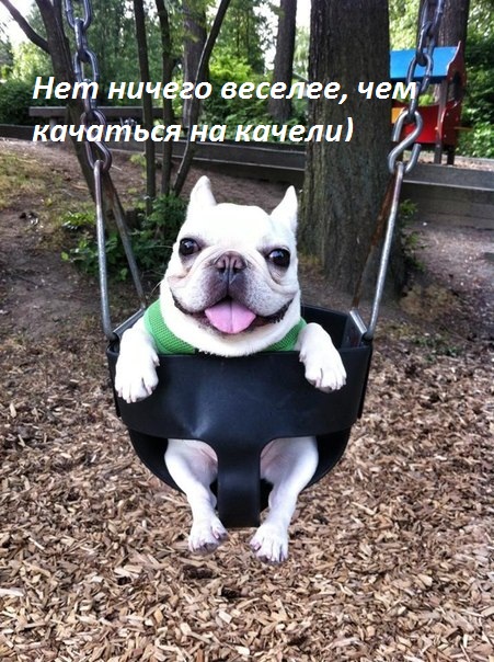  -  !.