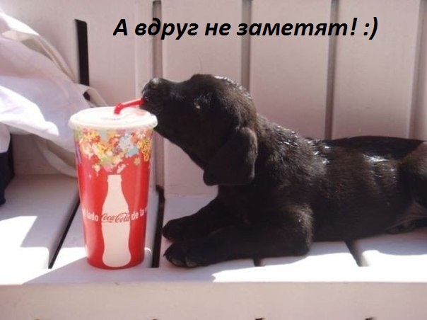 Картинки с надписями Вдруг не заметят!