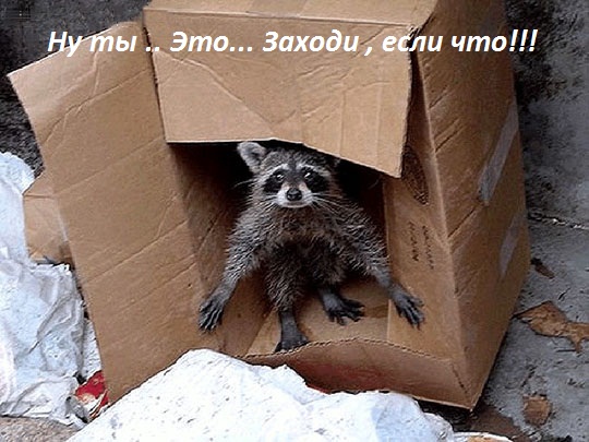 Картинки с надписями Заходи , если что!