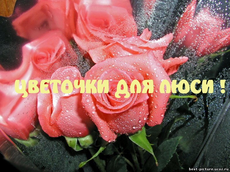 Картинки для люси