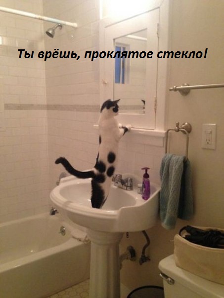 Ты врёшь, проклятое стекло!.