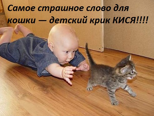 Картинки с надписями ужаснейшее слово для кошки - КИСЯ