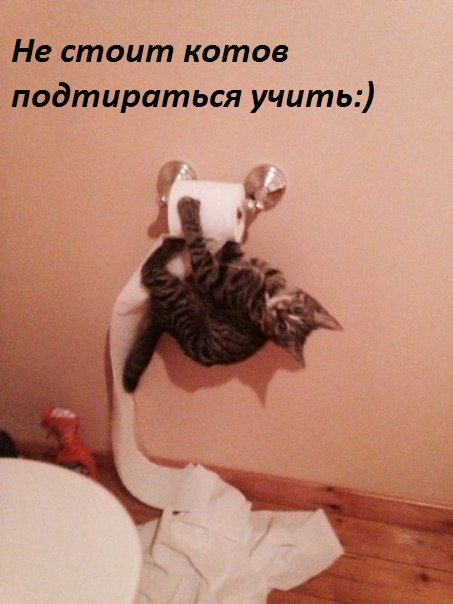     ....