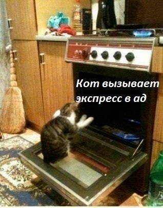 Кот вызывает экспресс в ад.