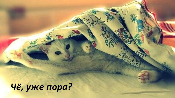 Картинки с надписями Чё, уже пора?