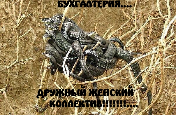   !.