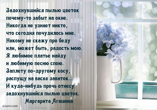 В нашей жизни много пыли песня. Задохнувшийся пылью цветок. Красивые стихи про пыль. Цветок в пыли книга.