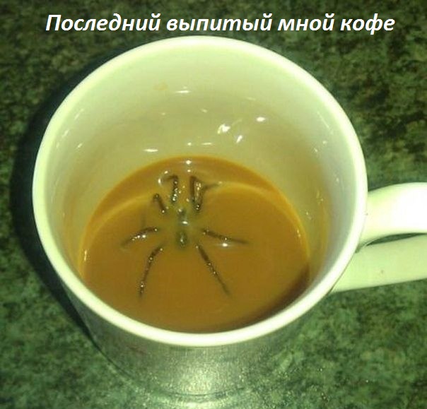 Картинки с надписями Последний выпитый мной кофе
