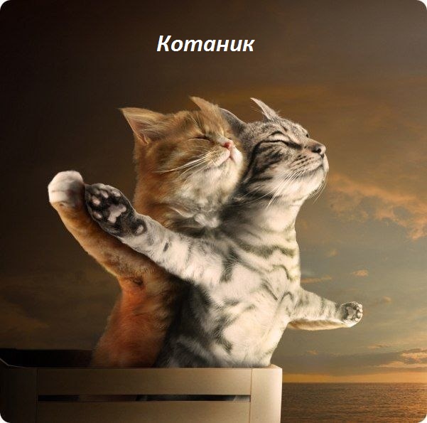  : 