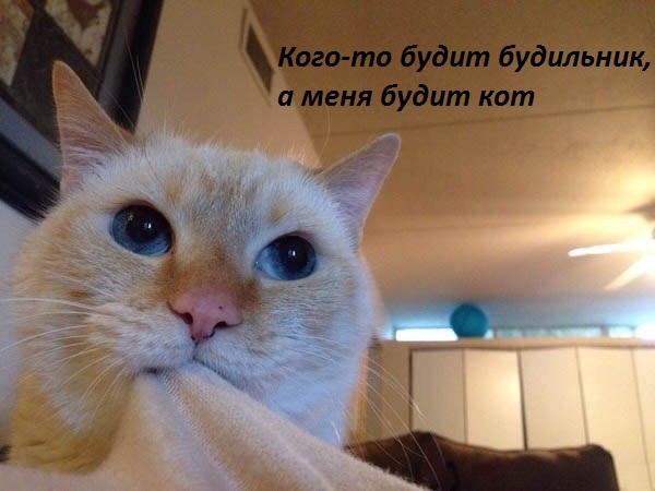   :   