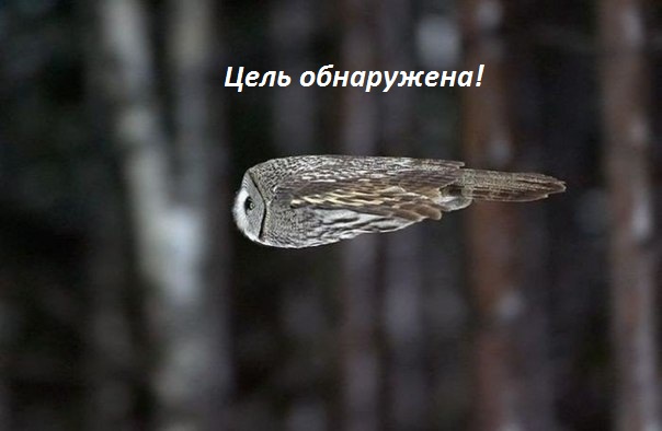 Картинки с надписями Цель обнаружена!